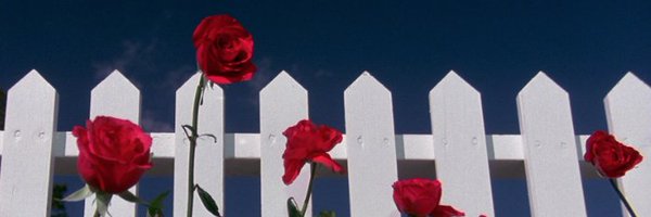 pxblohoney Profile Banner