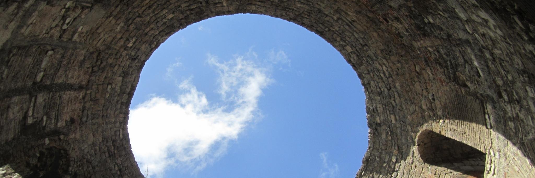 Cecelia Cmielewski banner