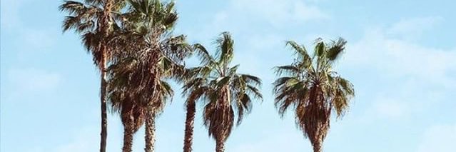 rebeccahatz's profile banner image