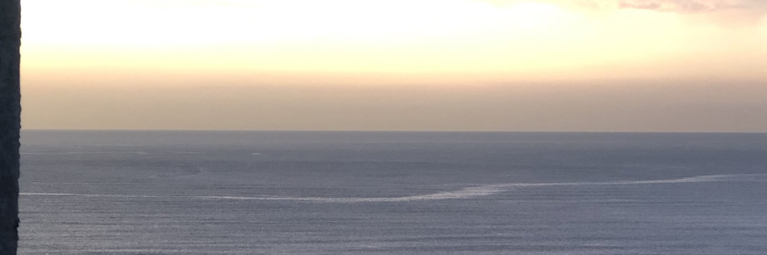 piculpio's profile banner image