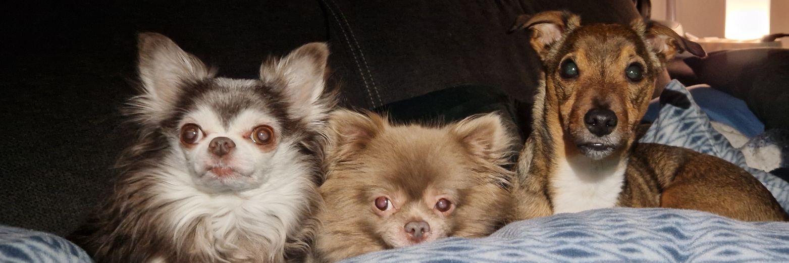 Lexy0108's profile banner image