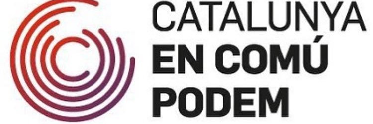 ICV Sant Feliu de Ll banner