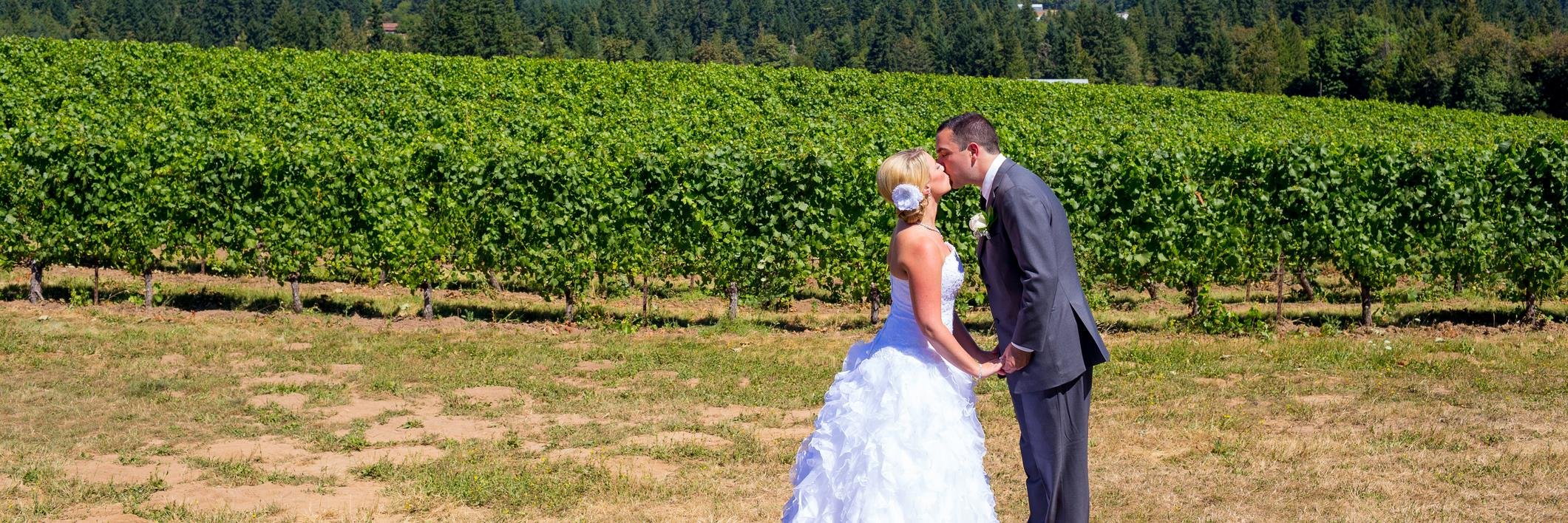 weddingfieldNL's profile banner image