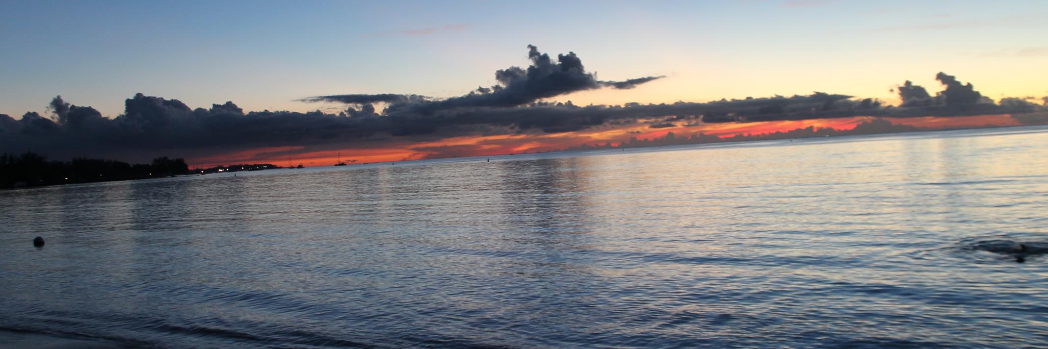 jason chellen banner