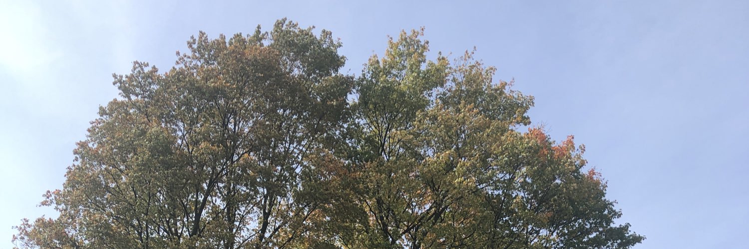 veep314's profile banner image