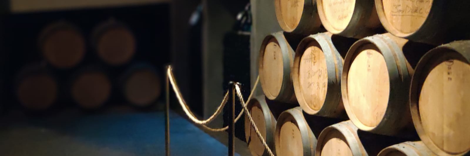 Bodegas Luzón banner