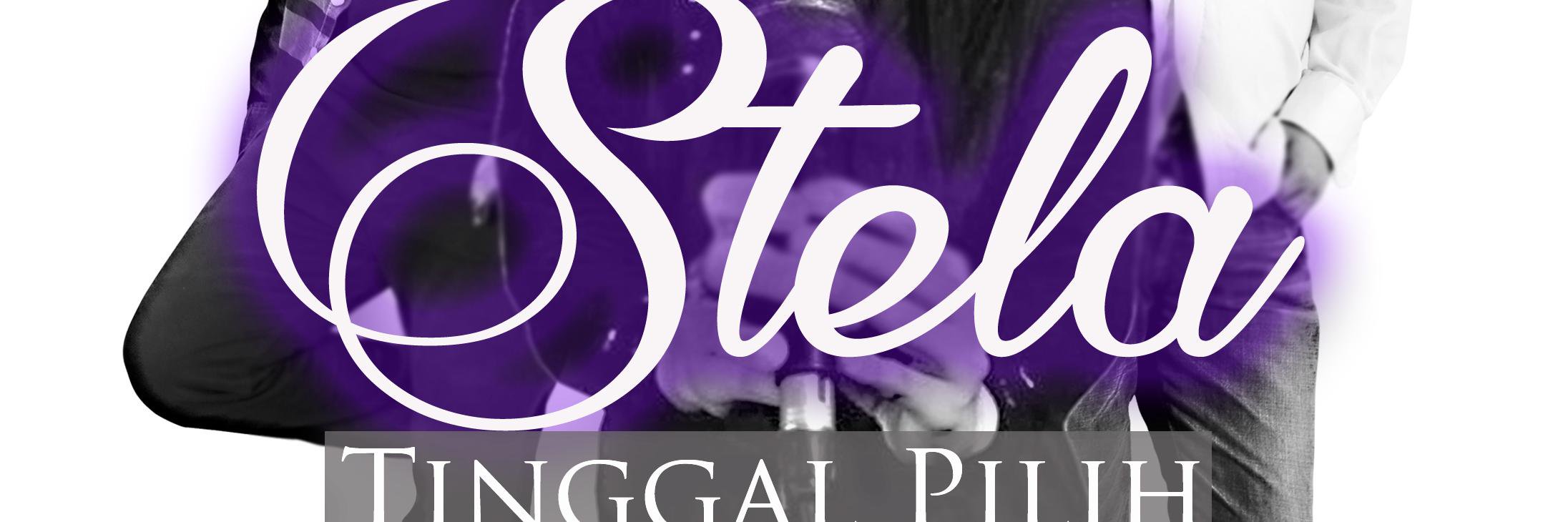 stelaku's profile banner image