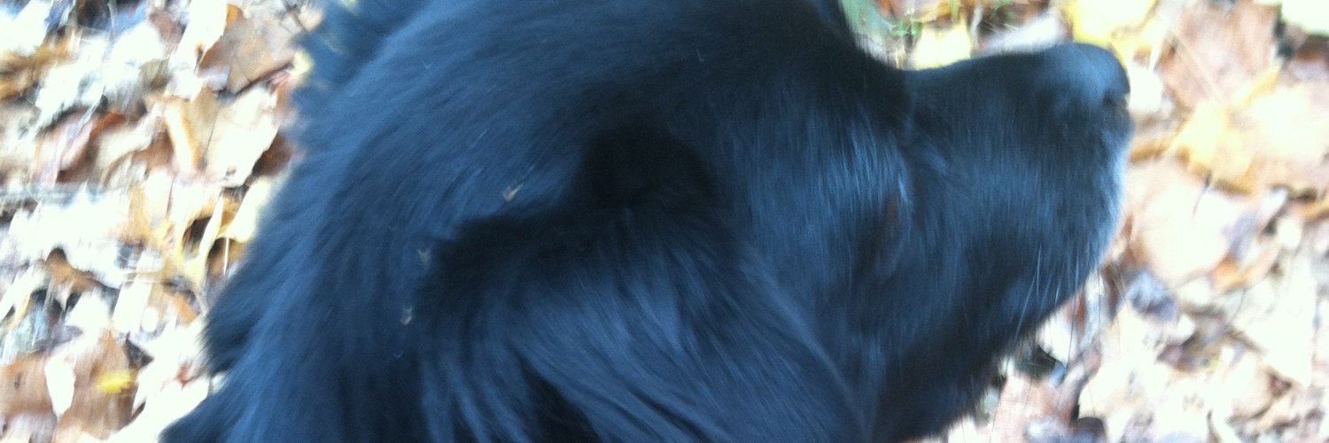 Charlesevered's profile banner image
