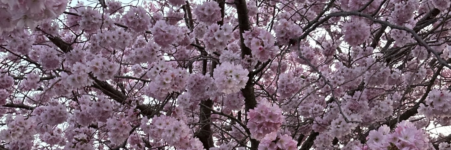 Wzyx4's profile banner image