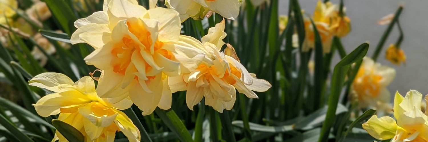 Butler County Hub- Butler County, Ohio banner