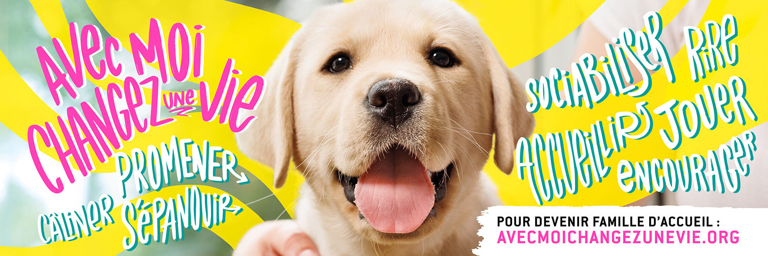 Chiens Guides Ouest banner