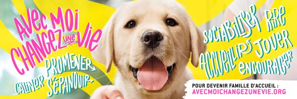 chienguideouest Profile Banner