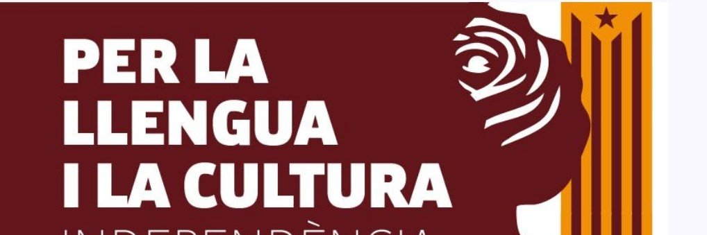 Quim Valle banner