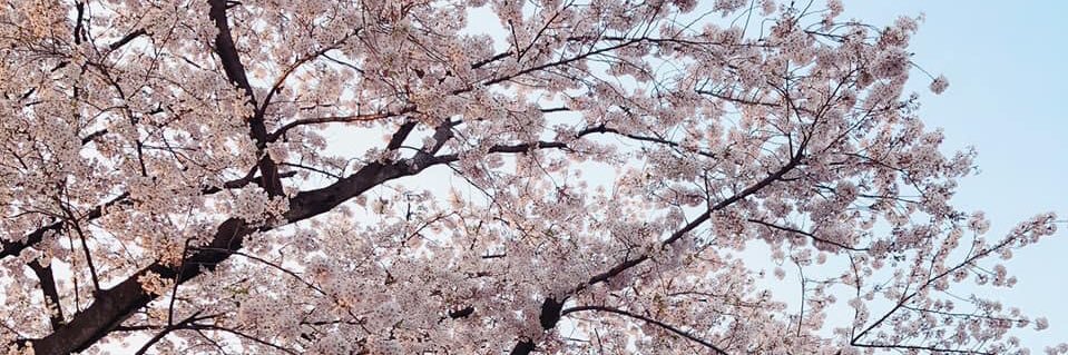 winnielee0306's profile banner image