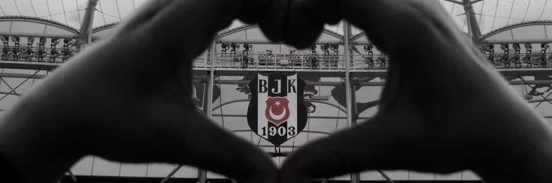 ozgee_erdogan's profile banner image
