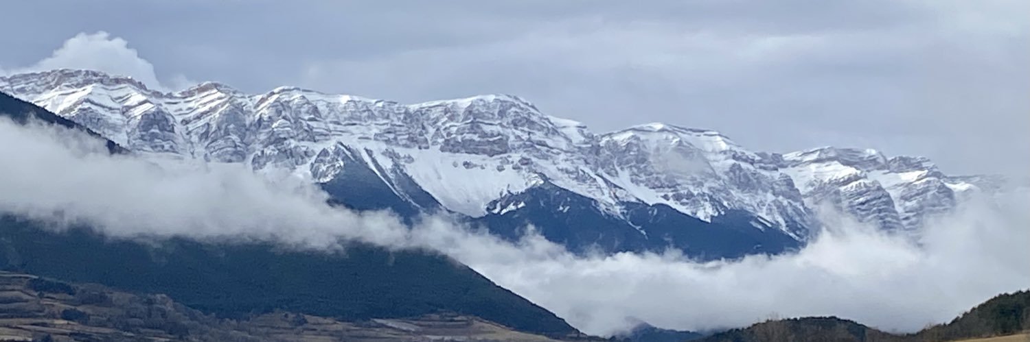 ALBERT TUCA banner