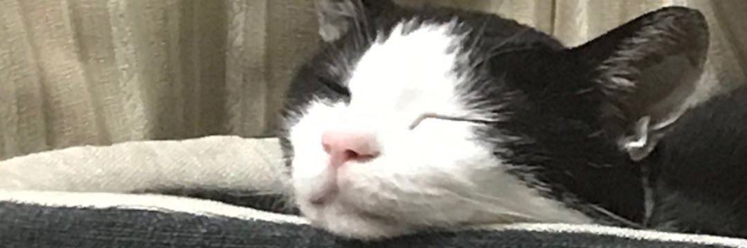 imorikiller's profile banner image