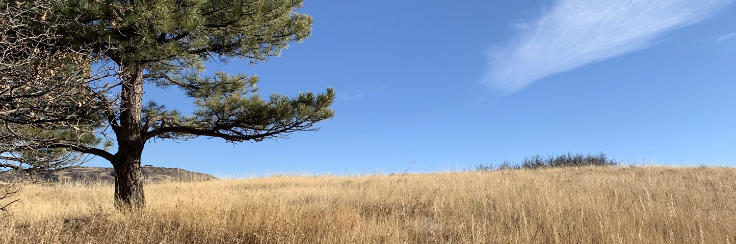 Jordan Guskey banner