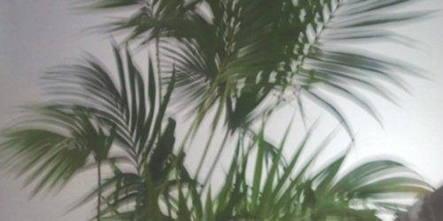 tkharrygdr's profile banner image