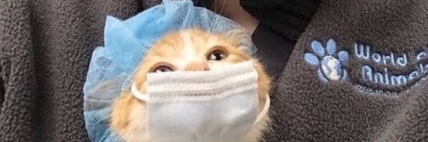sebfucks's profile banner image