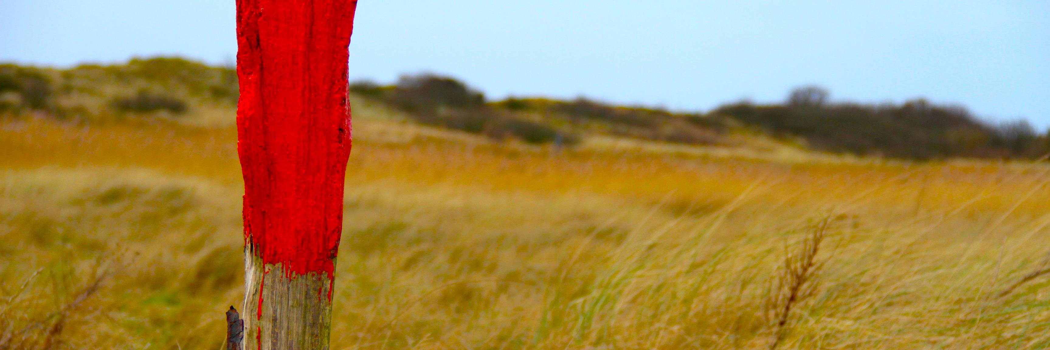 ExIF14's profile banner image