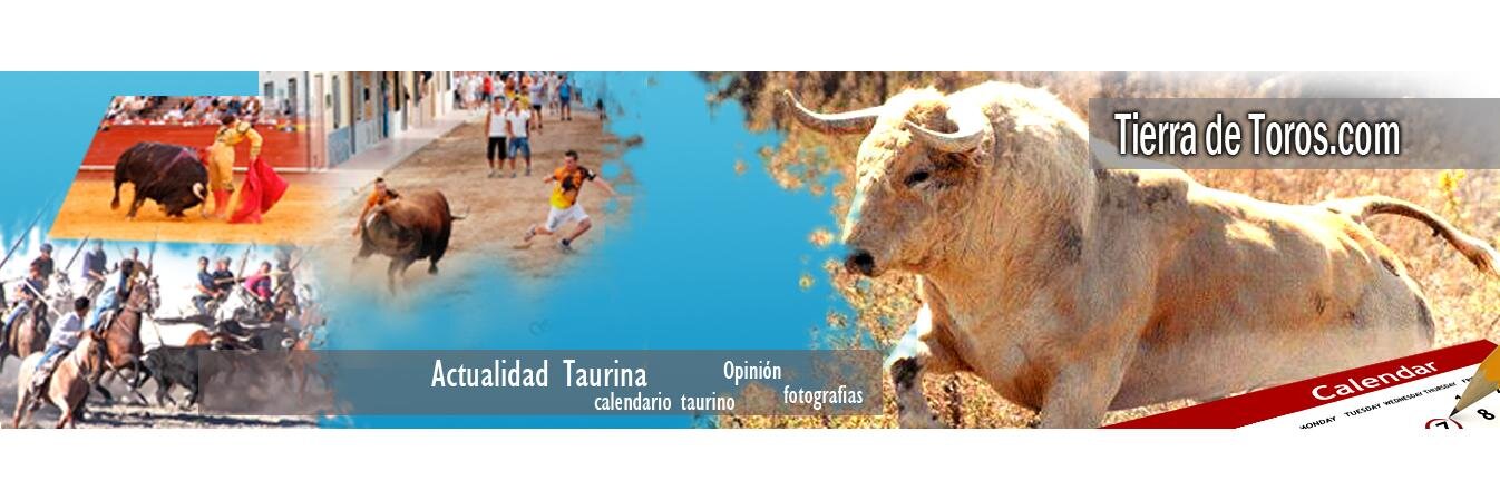 TierradeToros's profile banner image