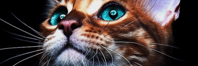emreeehlc's profile banner image