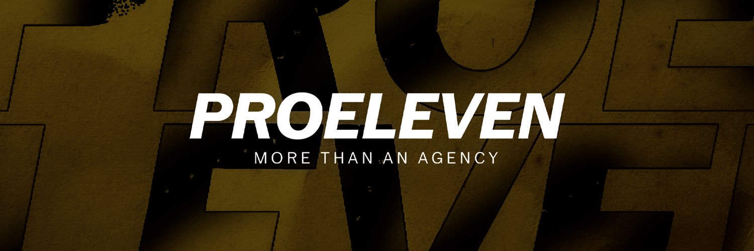 Proeleven banner
