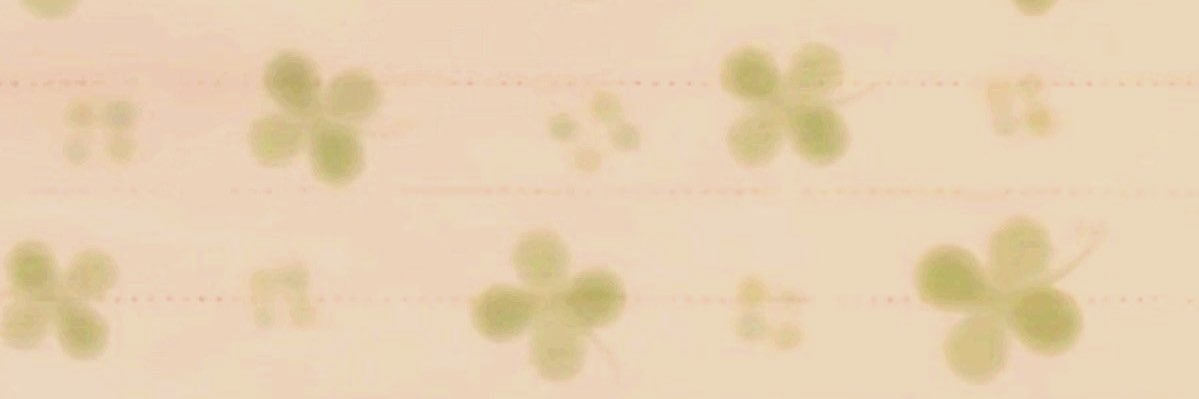 dnvflrs's profile banner image