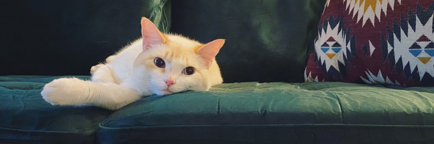 MeganLindell's profile banner image