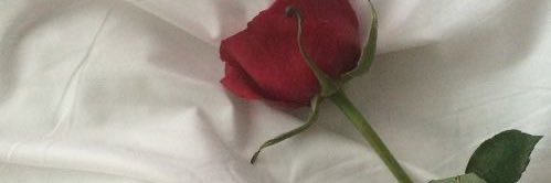🥀 banner