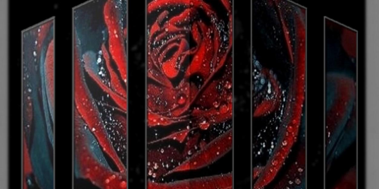 mysterywolf12's profile banner image