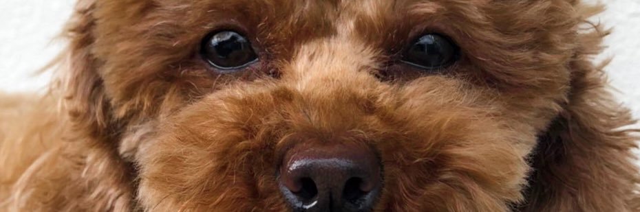 moenor__'s profile banner image