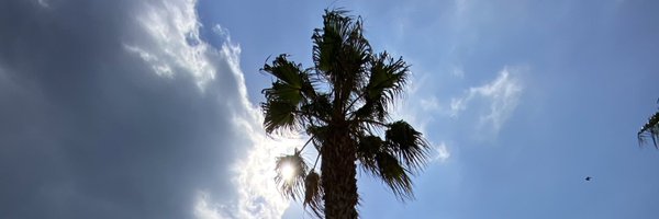 lluis_guilera Profile Banner