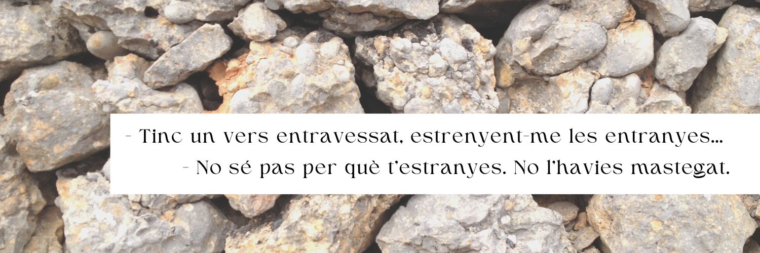 𝙻𝚊𝚒𝚊 𝙿𝚎𝚍𝚛𝚘𝚕 banner