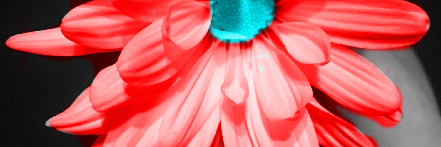 jillianbean1999's profile banner image