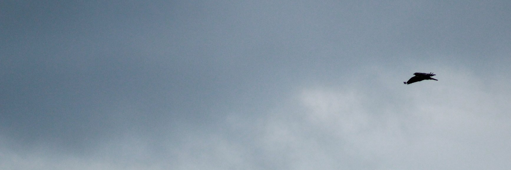 SGL_Leg0nd's profile banner image