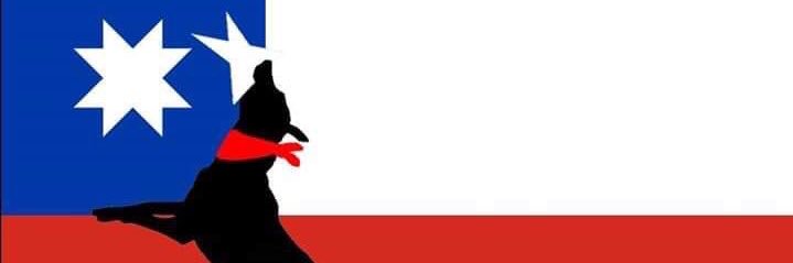 zaperanes's profile banner image