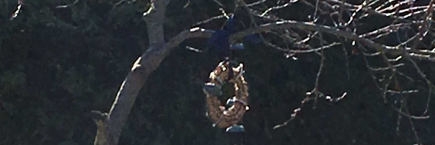 Ally1986's profile banner image