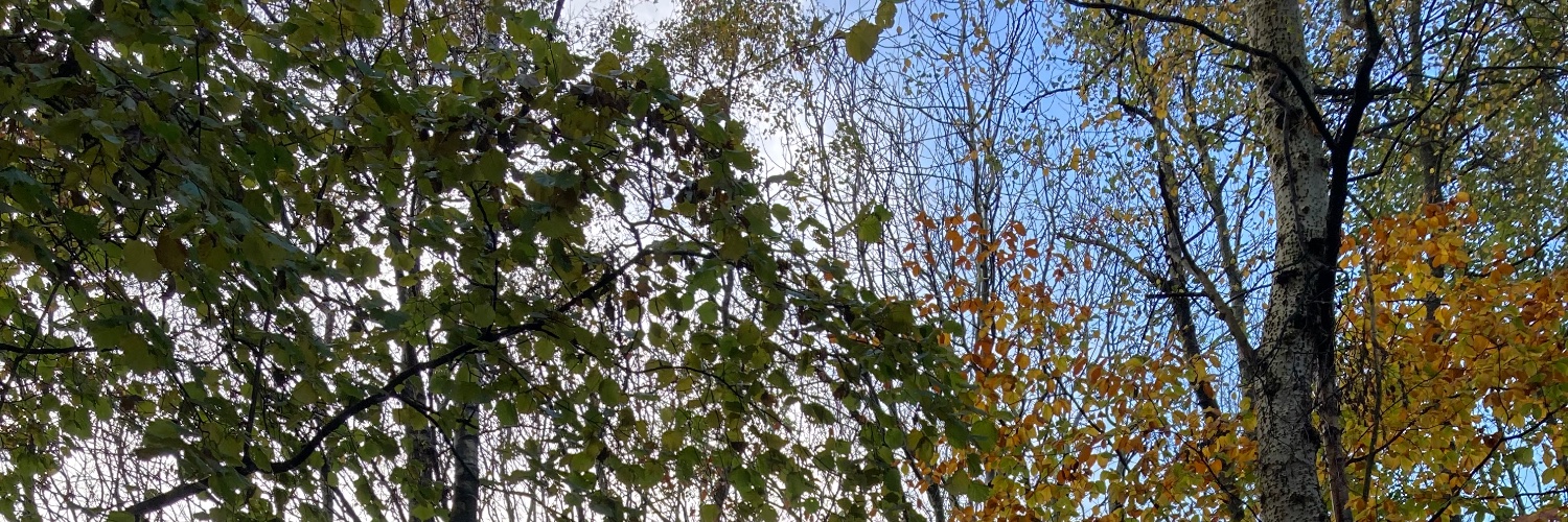 DrChrisMackintosh's banner