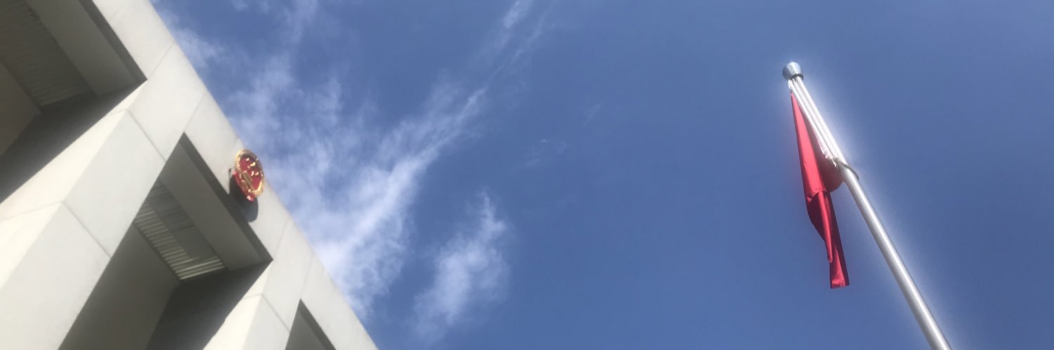 Talentlily's profile banner image