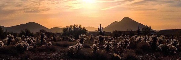 RebeckaRead Profile Banner