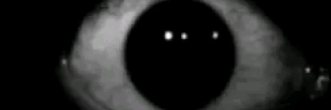 g0ldwing's profile banner image