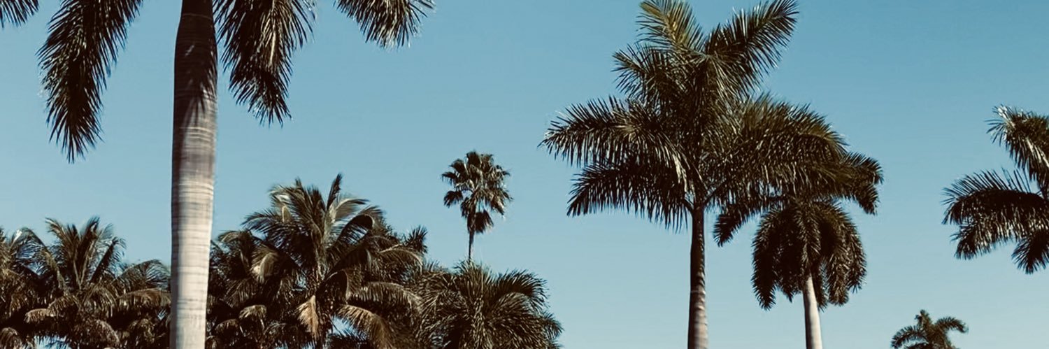h_rimer's profile banner image