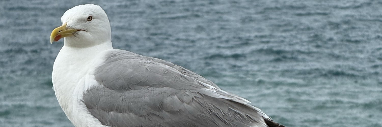 111puld's profile banner image