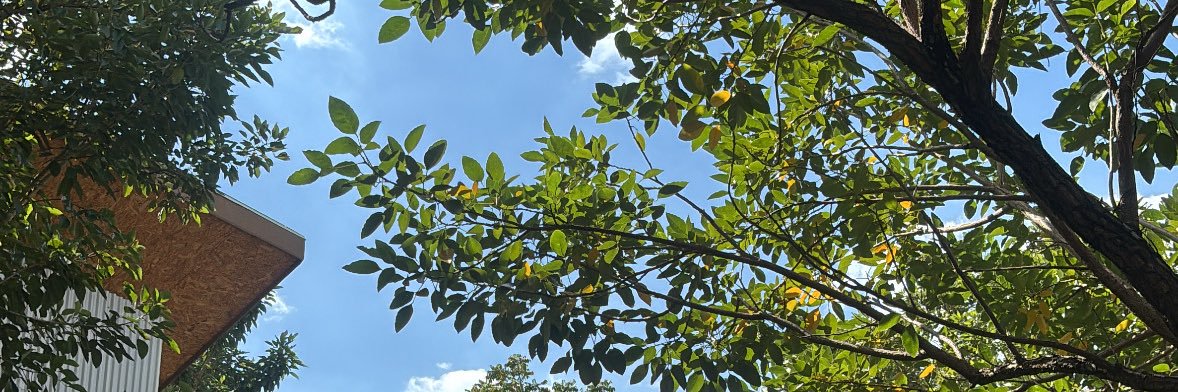 thuuqii's profile banner image