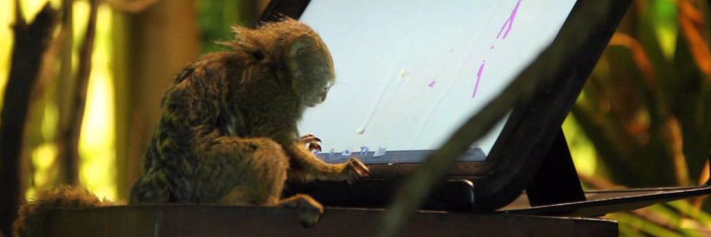 Mally banner