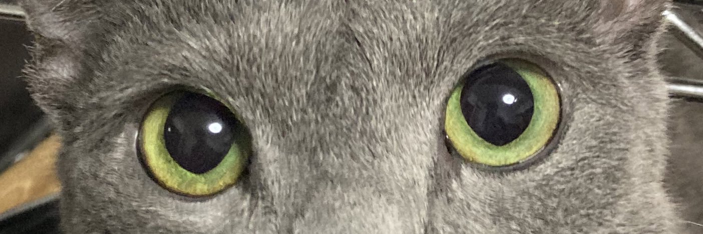 てんとん⏰ banner