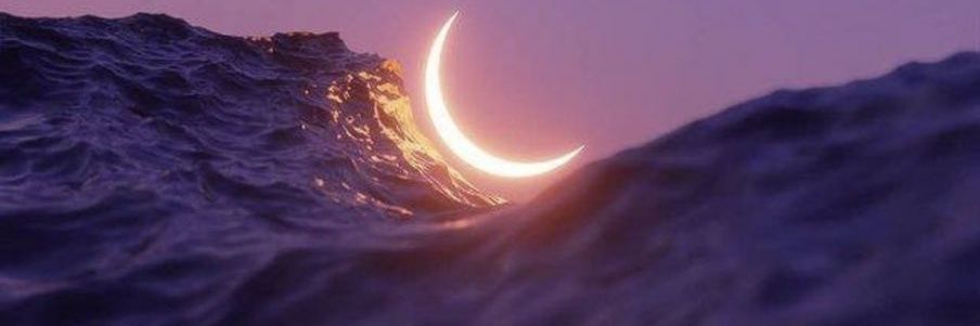 NathBresciani_'s profile banner image