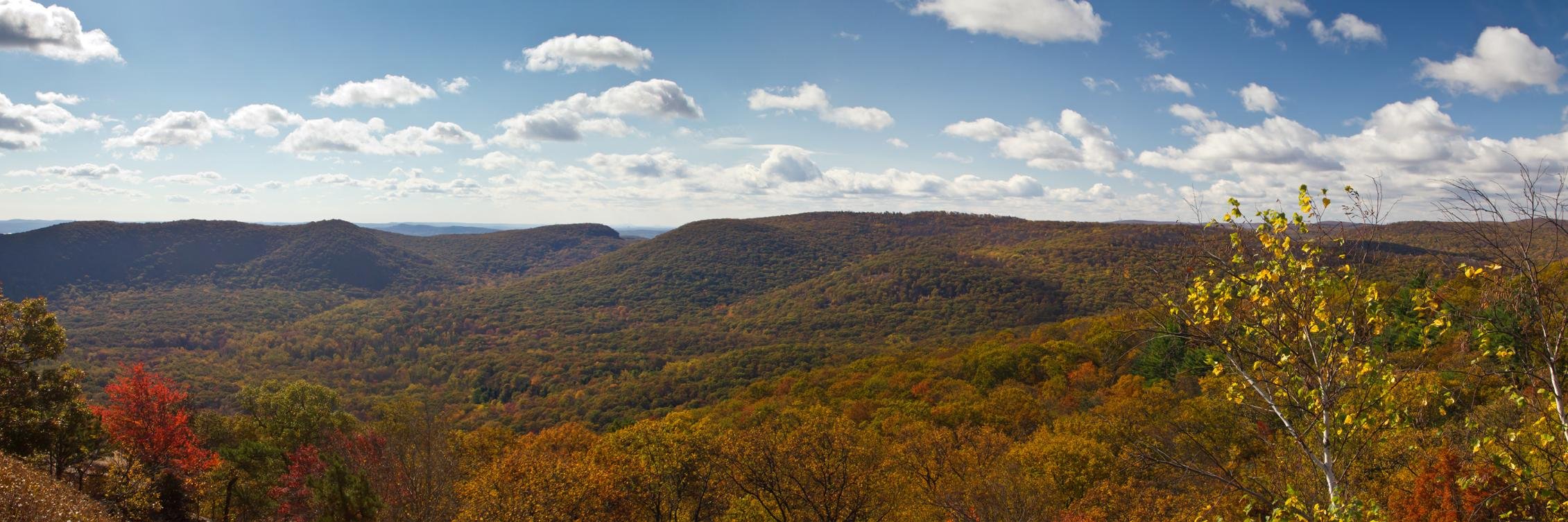 RW Hudson Valley banner